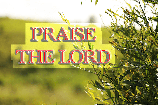 Praising God should be our daily habit… #dailyhabit #praisinggod #thanksgiving #happymood